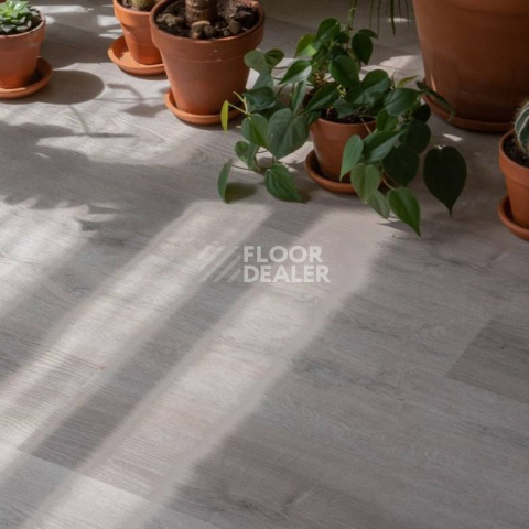 Vinilam Click 3.7мм 20468 Дуб Ален фото 3 | FLOORDEALER